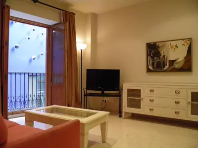a living room with a couch and a tv at Apartaments St. Jordi Comtal in Barcelona