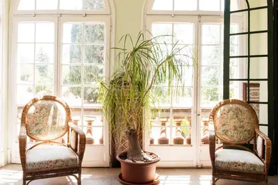 two chairs and a plant in a room with windows at B&B Can Casadella in Premia de Dalt