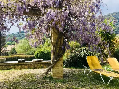 a wisteria tree with two chairs and a table at B&B Can Casadella in Premia de Dalt