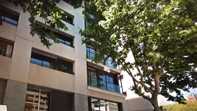 a building with a tree in front of it at 1215 - Ciutadella Pretty Apartment in Barcelona