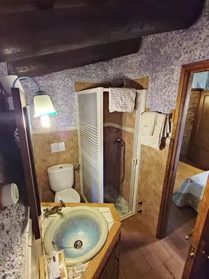 a bathroom with a sink and a shower and a toilet at Masia Can Felip B&B in Llinars del Vallès