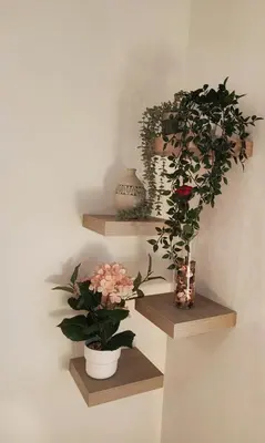 two shelves with plants and vases on a wall at LG DownTown Sabadell Apartment in Sabadell