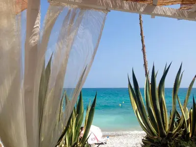 a view of the beach from a room with a plant at Sitges - Apartamento in Sitges
