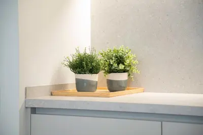 two potted plants on a cutting board on a counter at Fisa Rentals Ramblas Apartments in Barcelona