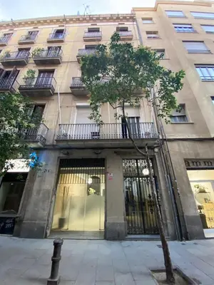 a building with a tree in front of it at Hostal Drassanes in Barcelona