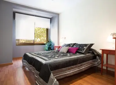 a bedroom with a large bed in a room at Avinguda Gaudi Apartment in Barcelona