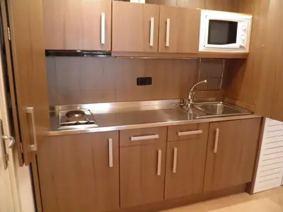a small kitchen with a sink and a microwave at Apartaments Sant Jordi Fontanella in Barcelona