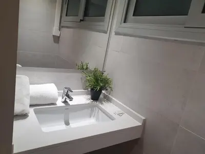 a bathroom with a sink with a plant on it at Pensión San Ramón in Barcelona