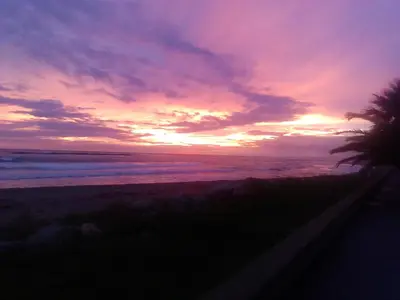 a sunset on the beach with a palm tree at Playa y Sol in Cubelles