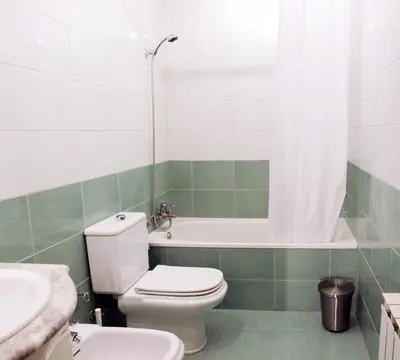 a bathroom with a toilet and a bath tub at Alguera Apartments Napols in Barcelona