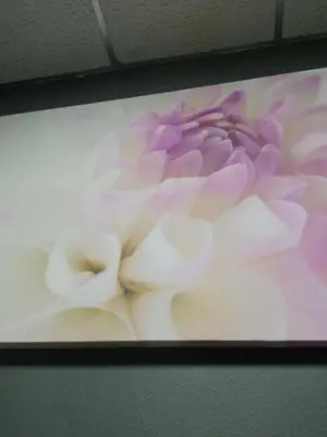 a painting of a flower on a wall at Great Sleep Loft in Barcelona