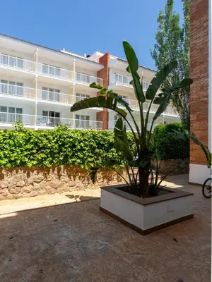 a plant in a pot in front of a building at Apartamentos Sunway Arizona in Sitges