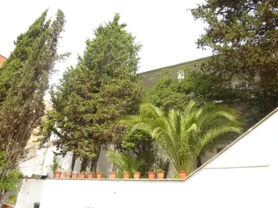 a group of trees in front of a building at Casa Vilaró Park Guell in Barcelona