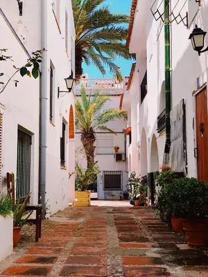 an alley with a palm tree in a building at Apartamento con Licencia en Sitges in Sitges