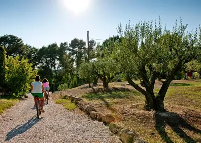two people riding bikes down a gravel path with trees at Mas Palou in Pla del Panadés