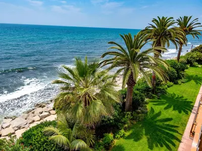 an aerial view of a beach with palm trees and the ocean at Apartment Acuario by Interhome in Sant Andreu de Llavaneres