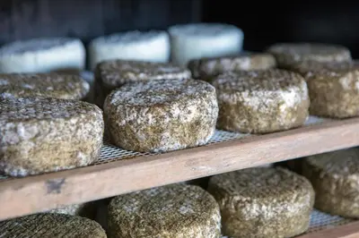 a bunch of donuts on a shelf in a bakery at La Frasera Alojamiento Rural in Vacarisas