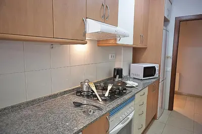 a kitchen with a counter top with a stove and a microwave at Alguera Apartments Sant Andreu in Barcelona