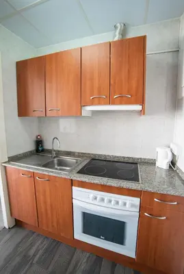 a kitchen with a stove and a sink at Apartaments Atzavara in Calella