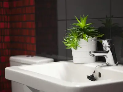 a bathroom sink with a potted plant on it at Apartaments Atzavara in Calella
