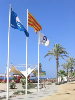 three flags on poles on a beach with a palm tree at CALELLA DE LA COSTA ( Maresme - Costa Brava) in Calella