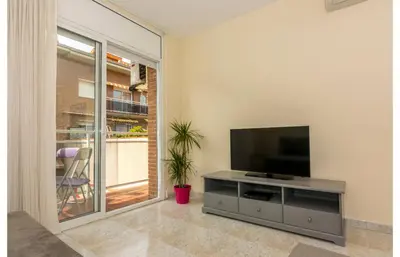 a living room with a couch and purple pillows at HomeHolidaysRentals Salvador in Pineda de Mar
