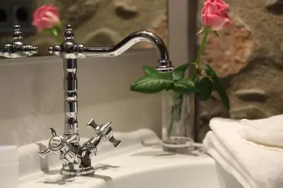 a bathroom sink with a faucet and a vase of roses at Hotel Rural Can Vila in Sant Esteve de Palautordera