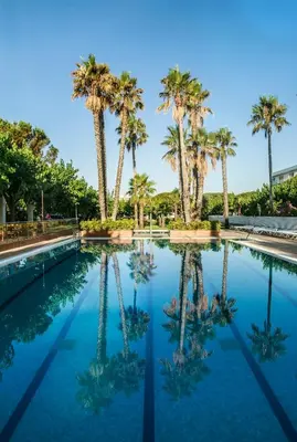 a swimming pool with palm trees in the background at Bellsol Rooms in Pineda de Mar