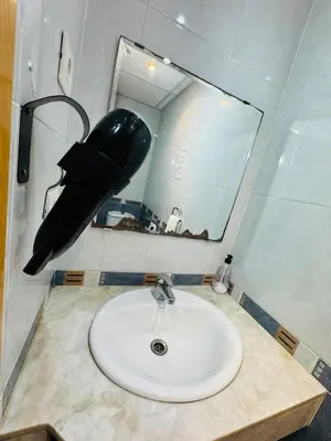 a sink in a bathroom with a whale head above it at Hostal Mont Thabor in Barcelona