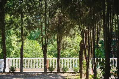 a white fence in front of a bunch of trees at Hotel Torre Barcelona in Sant Cugat del Vallès
