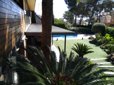 a backyard with a palm tree and a swimming pool at VILLA DEL BOSQUE in Castelldefels