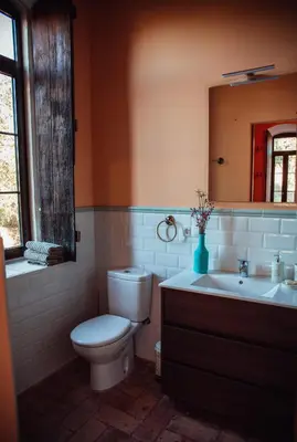 a bathroom with a toilet and a sink and a mirror at El Molí Blanc in Lavid