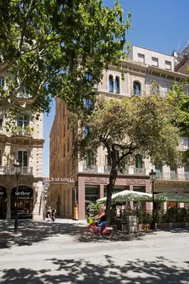 a tree in the middle of a street with buildings at Praktik Èssens in Barcelona