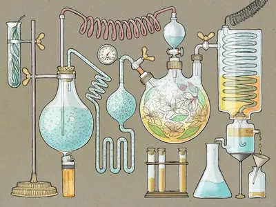 a group of glass bottles and other items on a wall at Praktik Èssens in Barcelona