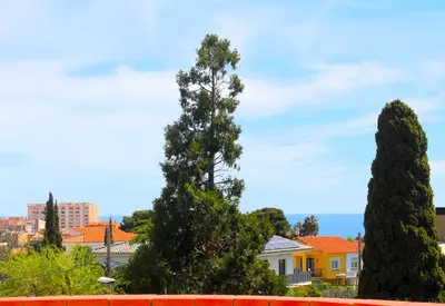 two tall trees in front of a city at House with Pool and Sea Views in Alella