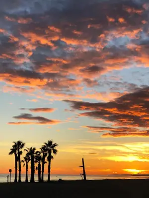 a group of palm trees on the beach at sunset at Espectacular ático dúplex con vistas al mar in Cunit