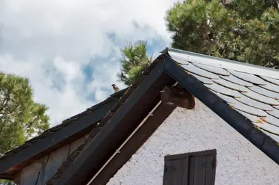 a bird sitting on the roof of a house at Pinedes Verd in La Torre de Claramunt