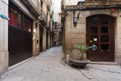 an empty alley with a potted plant in a pot at Casa Cosi - Gotico in Barcelona