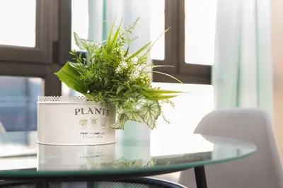 a plant in a can on a glass table at Matarolux15 in Mataró