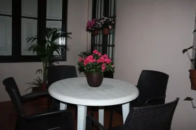 a white table with a potted plant on it at PENSIÓN Colmenero in Barcelona