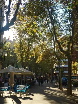 a city street with tables and chairs and trees at Charm Miró in Barcelona