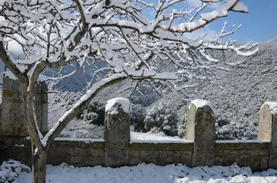 a cemetery covered in snow with a tree at Masia de Vallforners in Tagamanent