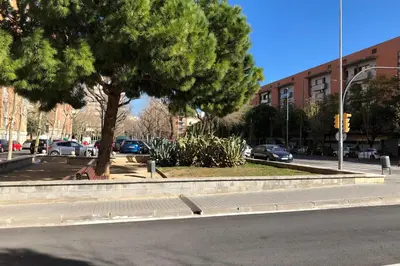a tree sitting on the side of a street at New! Apartment for 3 people near Fira Gran Via in Hospitalet de Llobregat