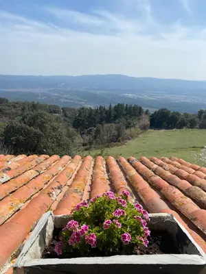 a flower box on top of a roof with flowers at CAN LLOBET Espai Rural Slow in Fogars de Montclus