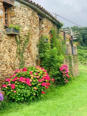 a stone building with flowers on the side of it at CAN LLOBET Espai Rural Slow in Fogars de Montclus