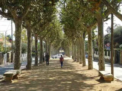 a tree lined sidewalk with people walking down it at Espectacular apartamento cerca de Barcelona con free wifi in Canet de Mar