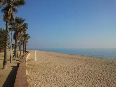 a sandy beach with palm trees and the ocean at Hotel Mitus in Canet de Mar