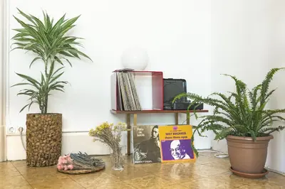 a table with two potted plants and a shelf at La Casa Gran B&B in Barcelona
