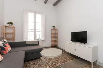 a living room with a couch and a flat screen tv at Gopal - Piso 7 pax con wifi y calefacción Gracia Barcelona in Barcelona