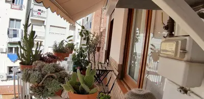 a bunch of potted plants on the side of a building at Piso Zona Plaza España, junto a Montjuic, in Barcelona
